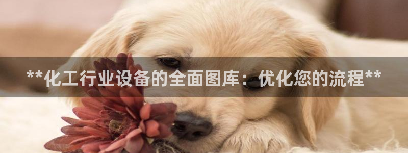 新城平台平台最新活动信息
