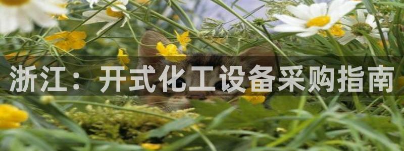 新城平台线路登录不上去