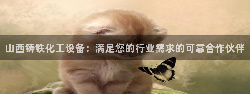 新城平台注册流程图