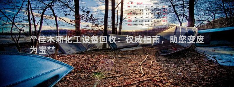 新城平台注册公司流程及费用