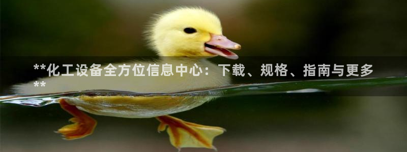新城平台注册公司流程图
