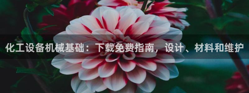 新城平台是干嘛的公司有哪些