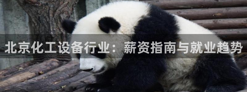 新城平台线路登录