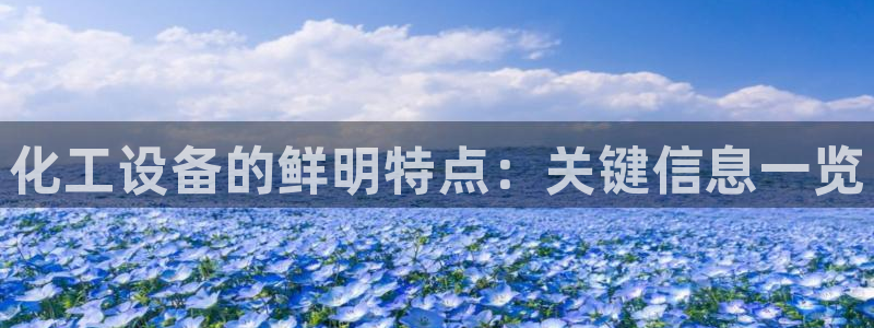 新城平台注册登录地址是什么