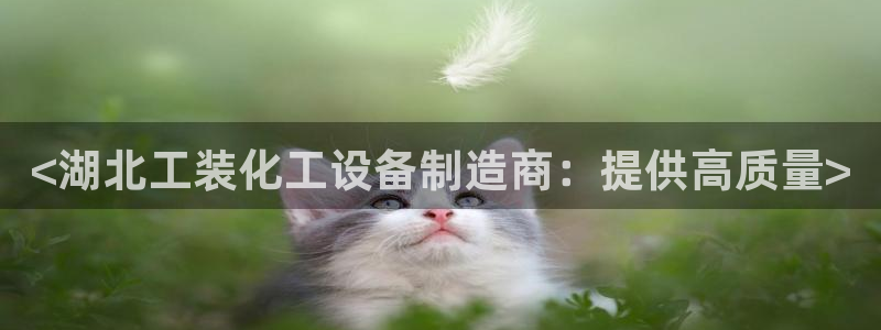 新城平台登录密码忘了怎么办