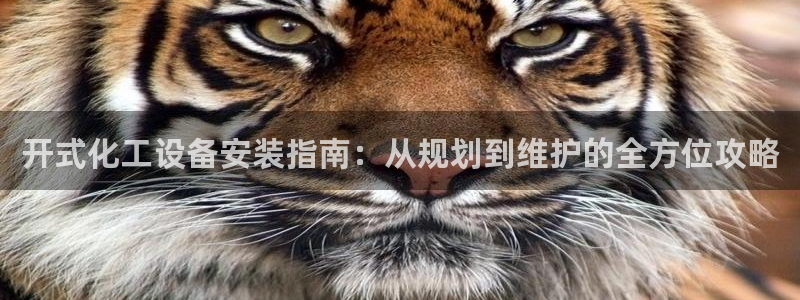 新城平台线路登录不上去怎么办呀