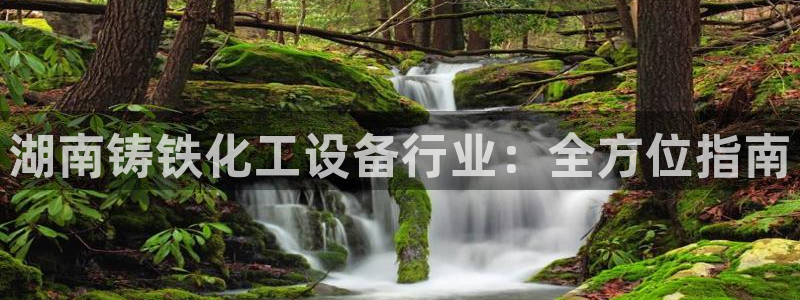 新城平台登录