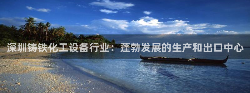 新城平台官网首页入口