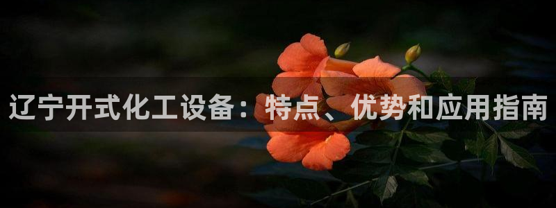 新城平台是干嘛的公司有哪些