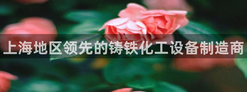 新城平台负责人电话