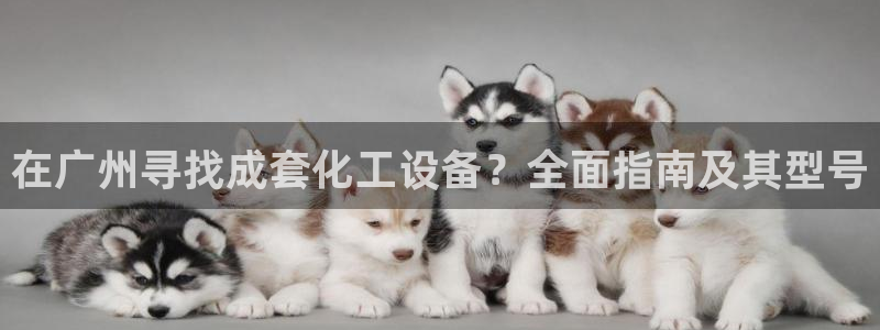 新城平台负责人