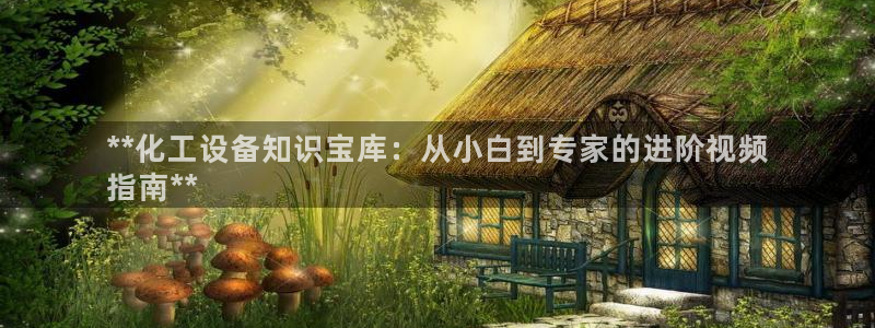 新城平台注册公司流程图