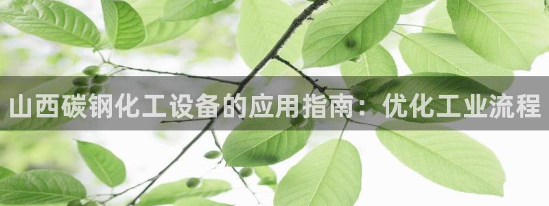 新城平台官网首页