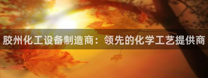 新城平台注册流程及费用