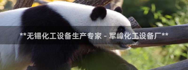 新城平台登录密码忘了