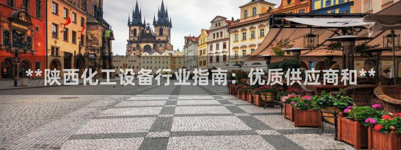 新城平台线路登录不上去怎么办