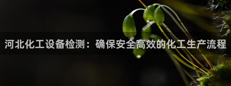 新城平台致7O777