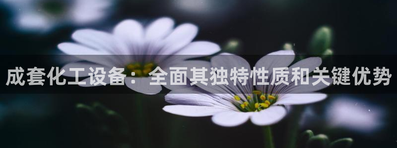 新城平台是干嘛的公司有哪些