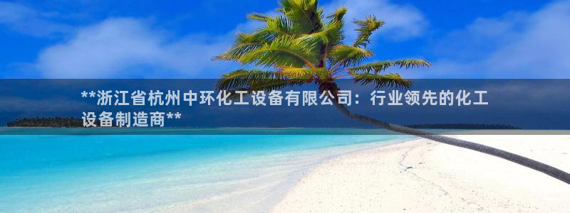 新城平台总代