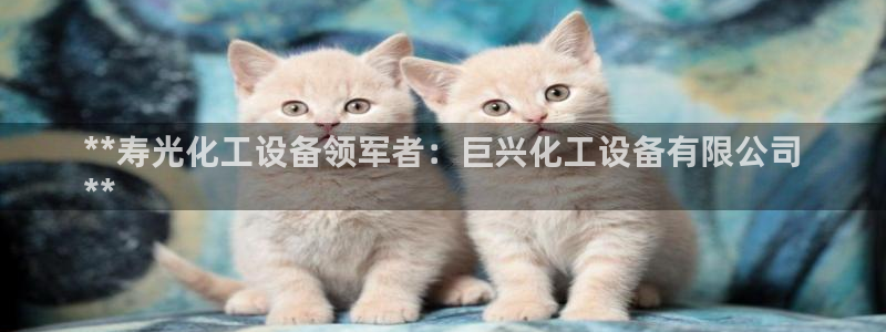 新城平台日7O777