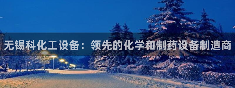 新城平台登录入口官网网址查询