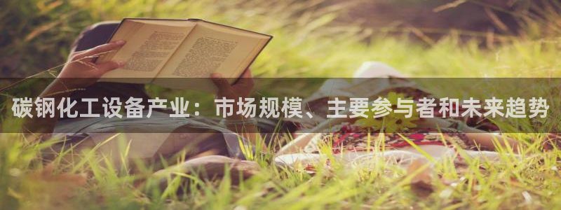 新城平台登录入口官网查询系统