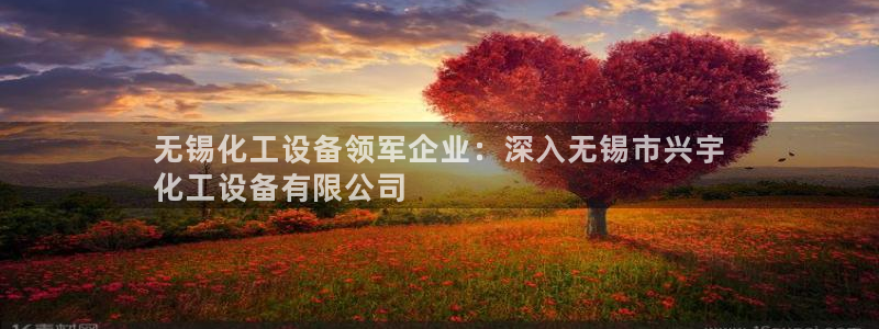 新城平台总代