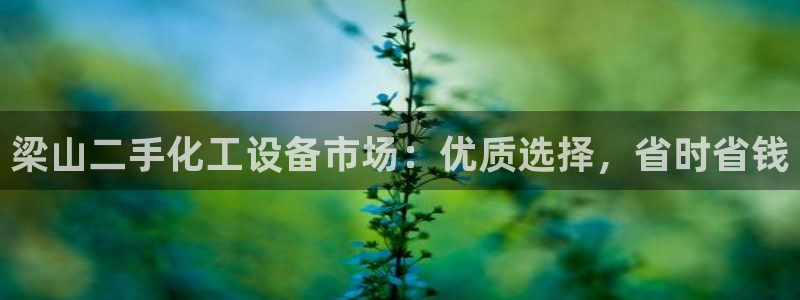新城平台负责人