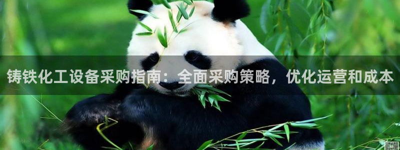 新城平台官网首页登录