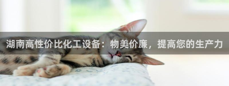 新城平台注册公司流程图