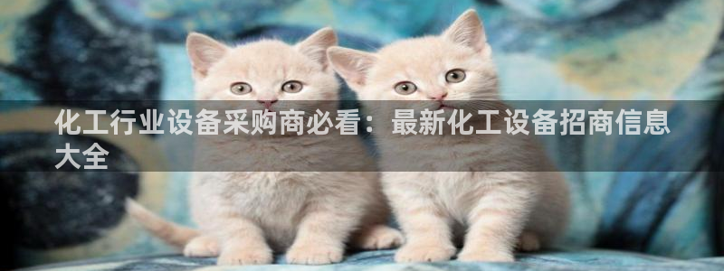 新城平台登录入口官网查询