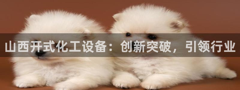 新城平台官网注册入口