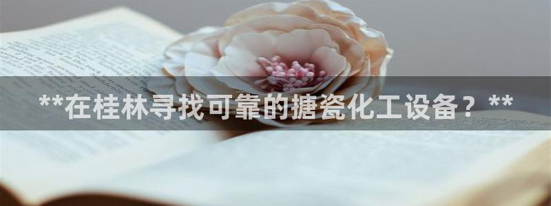 新城平台新注册