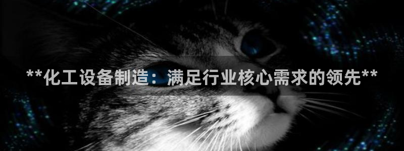 新城平台官网首页登录
