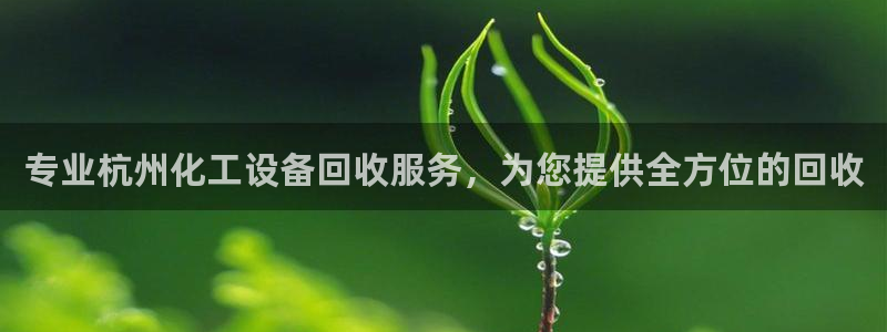 新城平台登录密码忘了怎么找回