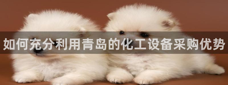新城平台平台最新活动