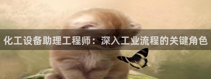 新城平台是干嘛的：化工设备助理工程师：深入工业流程的关键角色