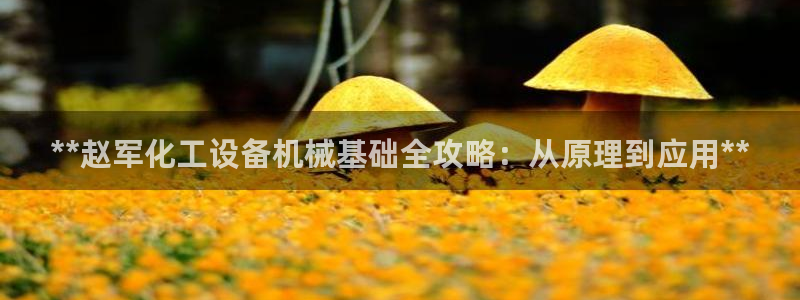 新城平台属于哪个系列