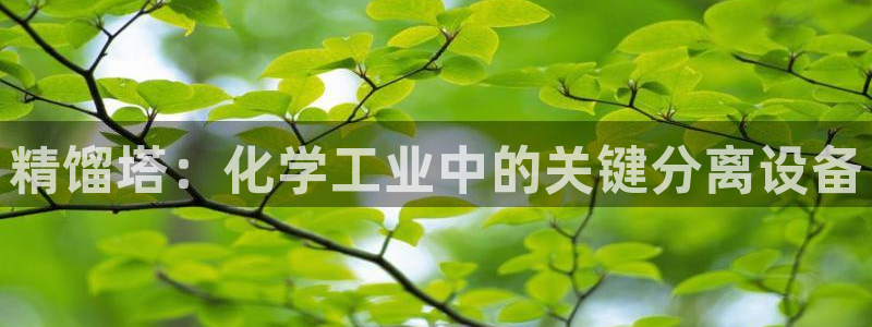 新城平台是干嘛的
