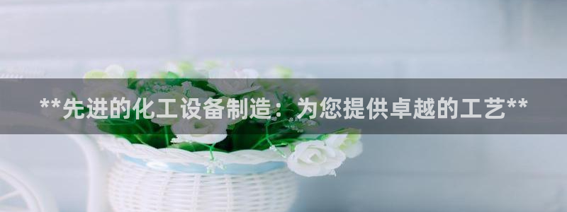 新城平台登录入口官网查询信息