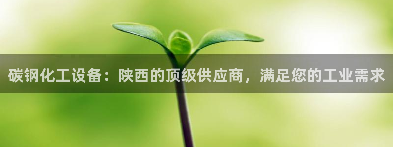 新城平台线路登录不上去了