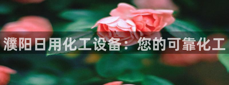 新城平台登录入口：濮阳日用化工设备：您的可靠化工