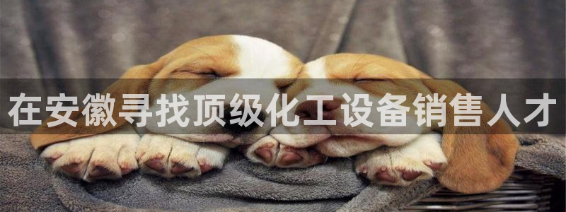 新城平台登录入口官网查询网址：在安徽寻找顶级化工设