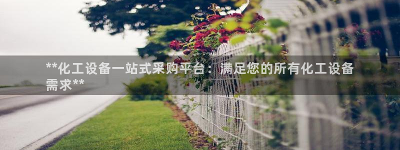 新城平台是干嘛的公司啊