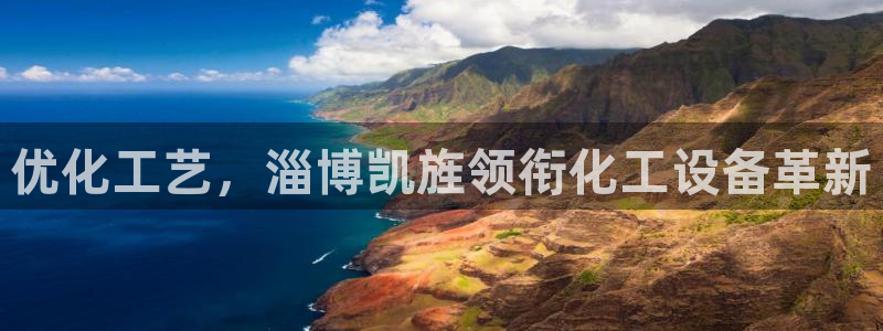 新城平台登录入口官网首页查询