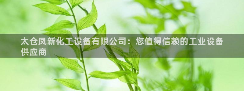 新城平台注册网址查询