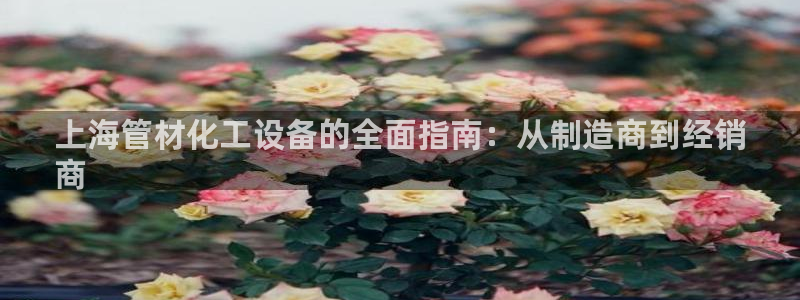 新城平台登录入口官网查询信息