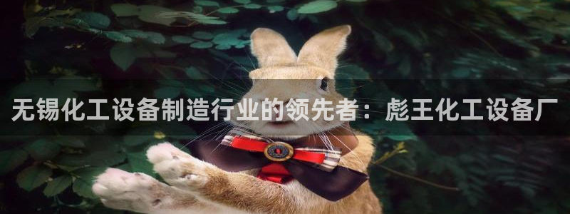 新城平台线路登录不上去了
