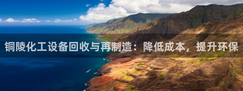 新城平台注册公司流程图