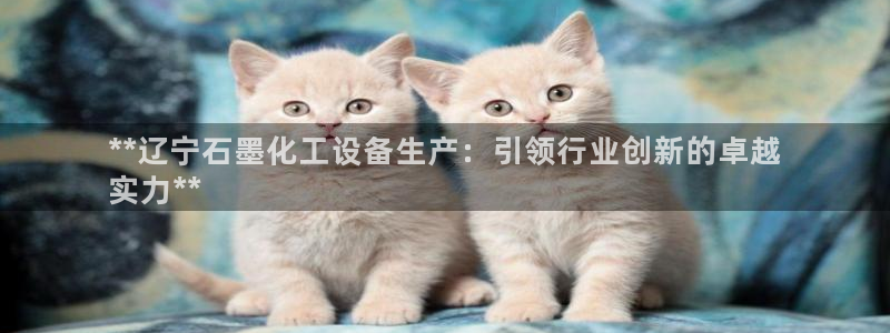 新城平台新注册：**辽宁石墨化工设备生产：引领行业